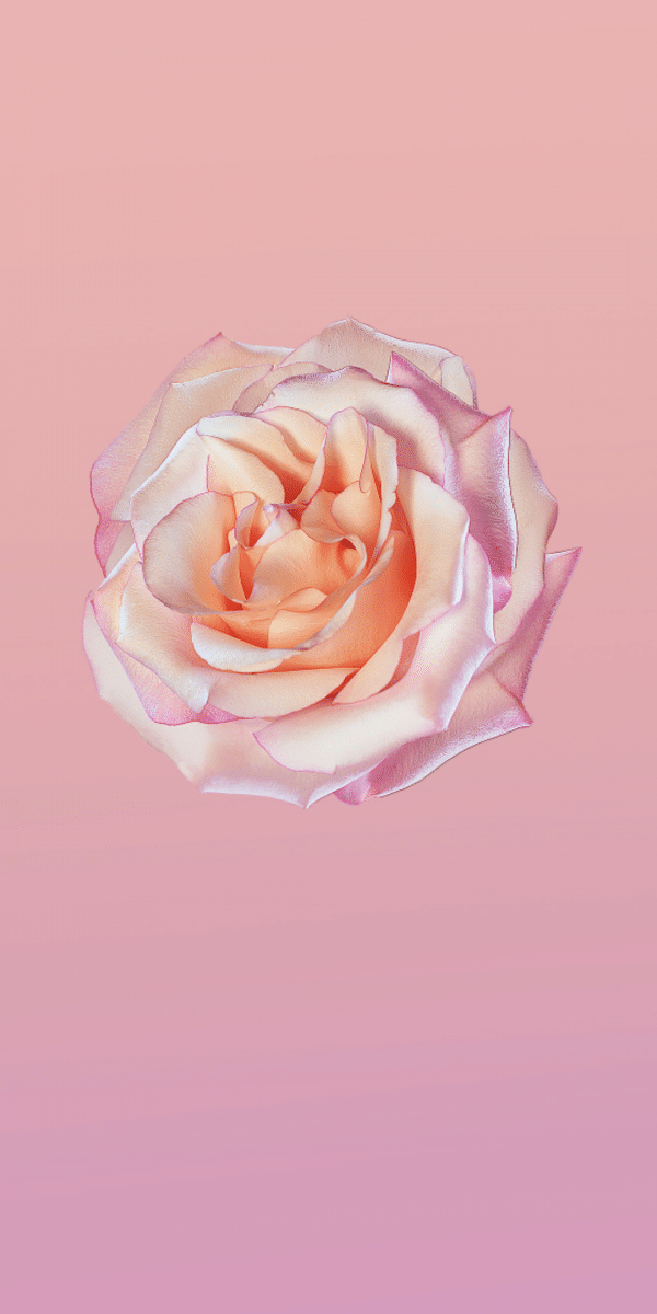 Huawei P20 Wallpaper