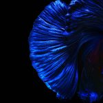 Huawei Nova 4 Stock Wallpapers