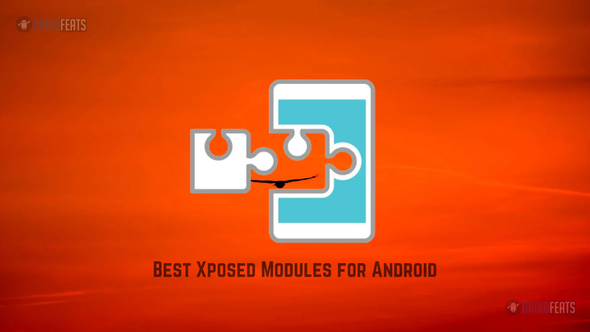 Xposed Module