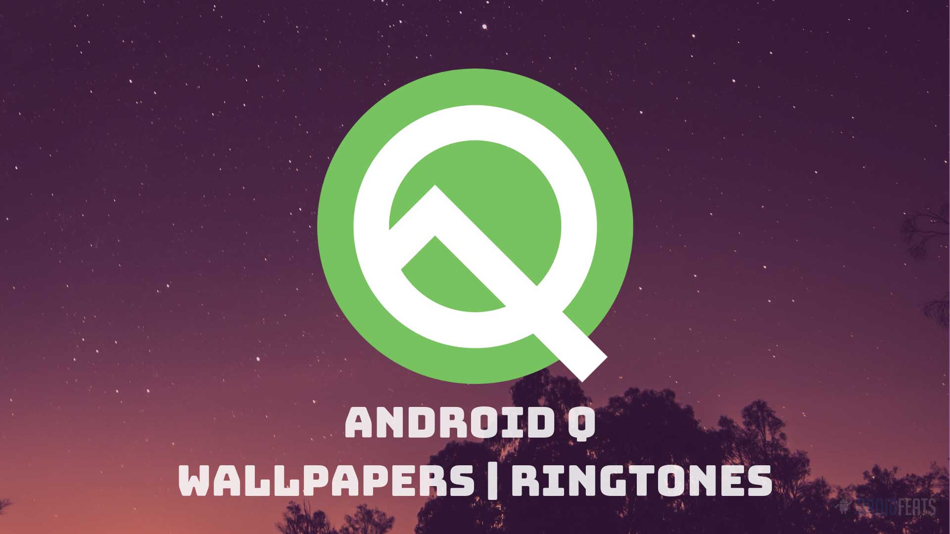Download Android Q Stock Wallpapers and Ringtones Download Android Q Stock Wallpapers and Ringtones