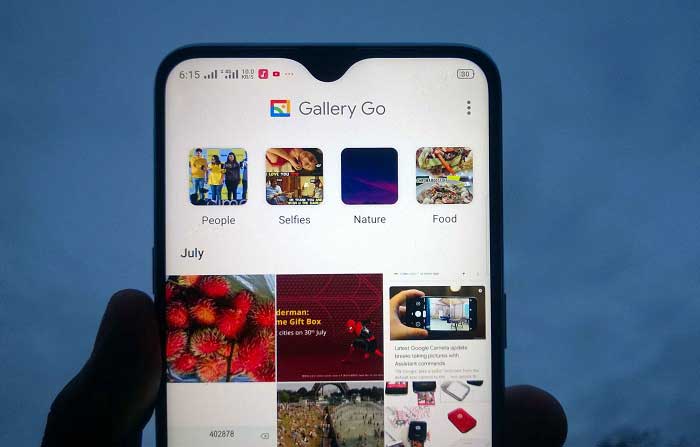 Gallery Go app